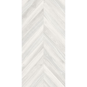 GRESIE EBONY GRIS 60x120