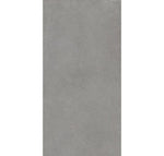 GRESIE RAWTECH SILVER 60x120 MAT 1.44m2/CUT
