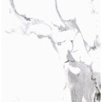 GRESIE CALACATTA WHITE POLER 59,7X59,7cm